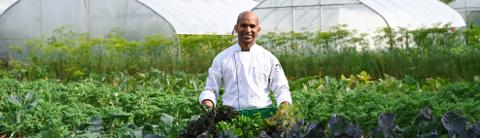 A smiling chef wearing a white chef's coat stands in the middle of a lush green vegetable garden, holding a green crate filled with fresh leafy greens. In the background, there are greenhouses and tall plants under natural daylight.