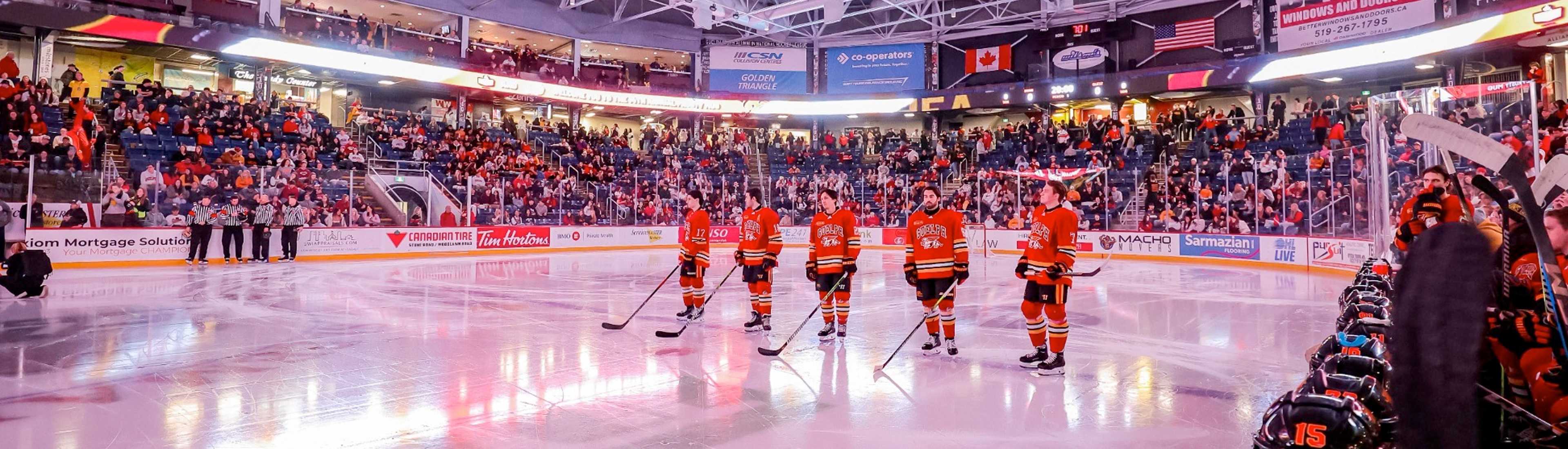 University of Guelph hockey players standing on the ice during the Frosty Mug event, with a packed arena of cheering fans in the background. 