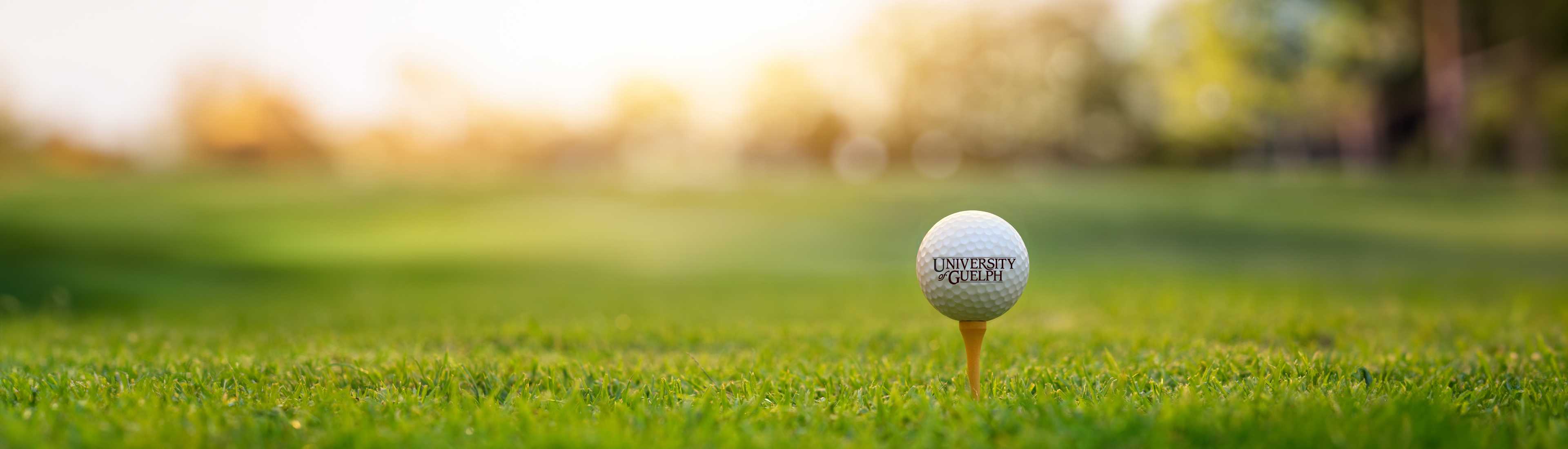 A University of Guelph-branded golf ball sits on a tee in the middle of a golf course, with a blurry sunset background.