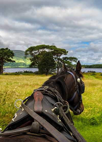 View from horseback riding through a scenic landscape near a lake in Ireland, with trees and cloudy skies.