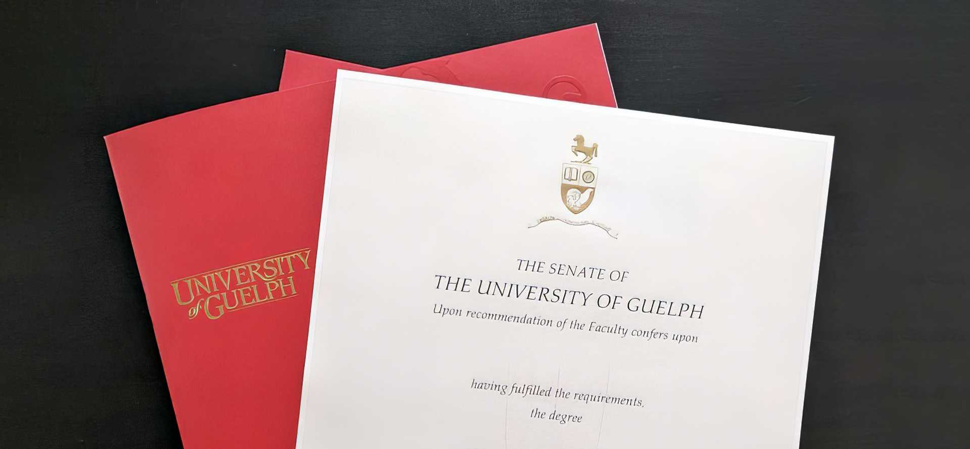 University of Guelph degree parchment with red folder, showcasing the official degree certificate issued by the university.